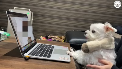 真剣な表情に愛を感じます