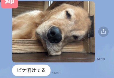 「溶けてる」
