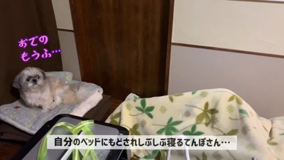 不服そうなお顔