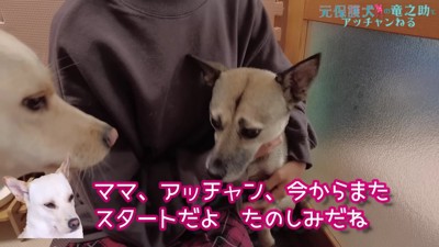 まだまだこれから…