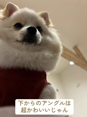 下からアングルがお気に入り♡