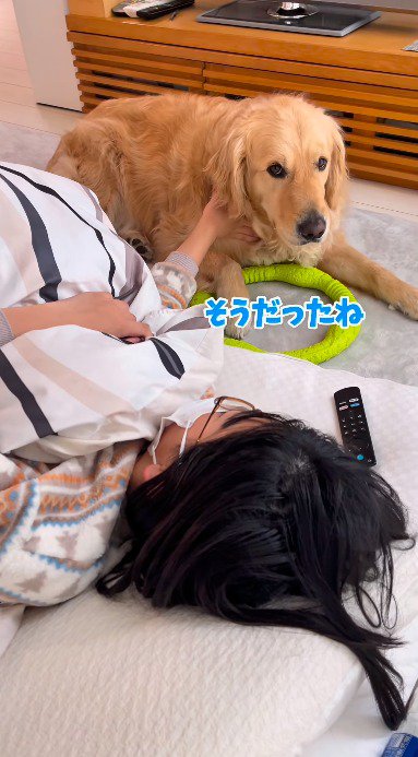 おもちゃを床に置いて、女の子を見つめる犬