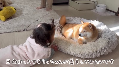 「いいなあ、日向…」