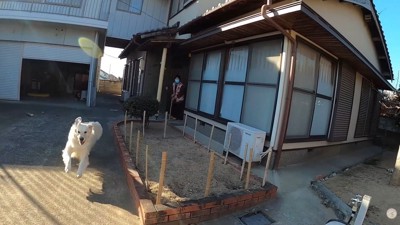 おばあちゃんの登場に大喜び