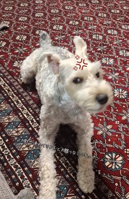 横目で見るえびすくん