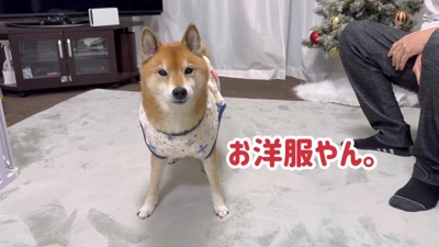 「なかなかいい服だ」