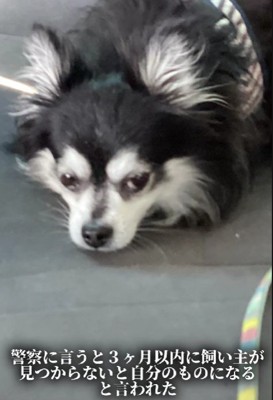 3ヶ月間、連絡を待つことに…