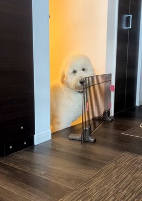 助けを求める栗丸くん