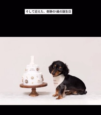 1歳になったテトくん