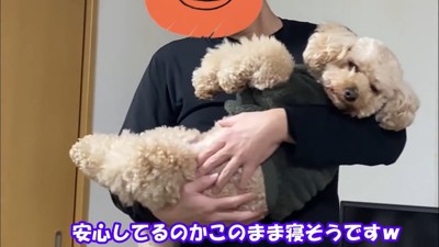 男性に抱っこされる犬