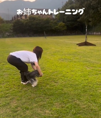 輪っかをくぐり抜ける犬1