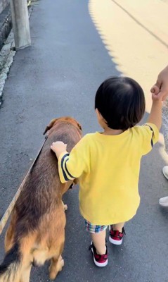 男の子を守る咲太郎くん5