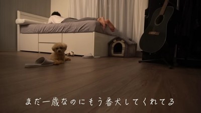 パトロールは余念がない