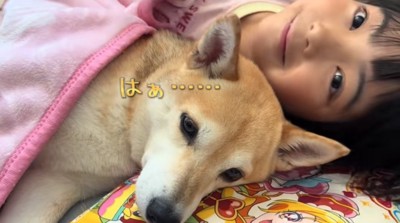 柴犬と添い寝する女の子2