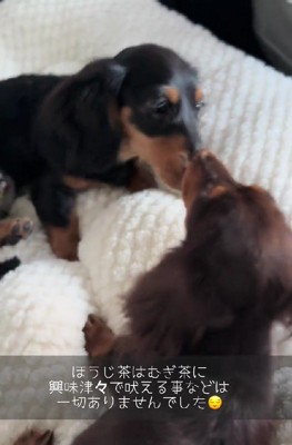 すぐに仲良しに!!