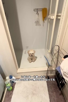 シャワールームにいた