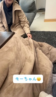 こたつ布団がふくらんでいる様子