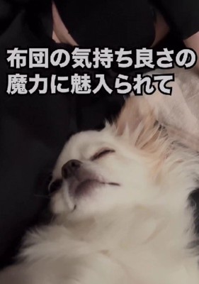 お布団の虜に♡