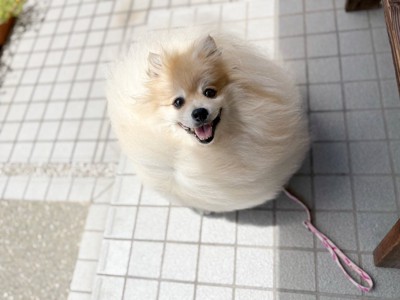 風