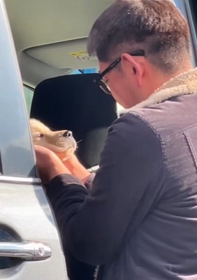 つむぎちゃんとの初対面