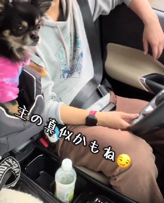 飼い主さんの真似!?
