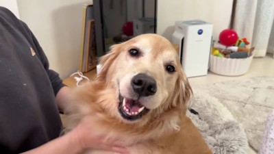 「レース楽しかったね♪」