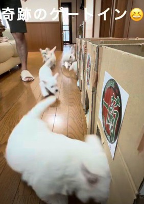 次々と入室する光景にキュン♡