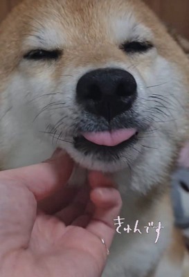 ナデナデされてうっとり…