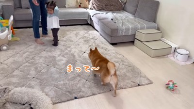 靴下大好きなうにくん