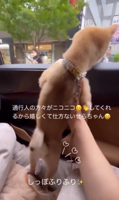 ドライブ中のせらちゃん6