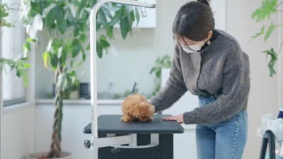 いよいよトリミング開始