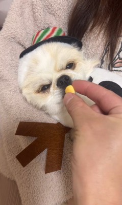 ぽてと君の瞬発力3