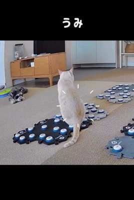 フーフーくんを気遣うモネちゃん