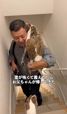 雷が鳴った時のきびちゃん2