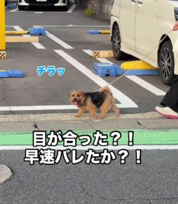 パパのそばを通過したけど…