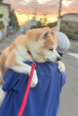 パパに抱っこしてもらう♡