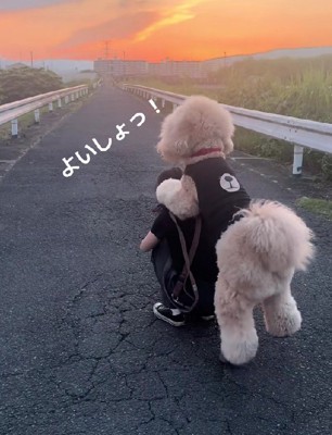 おんぶをねだってきた