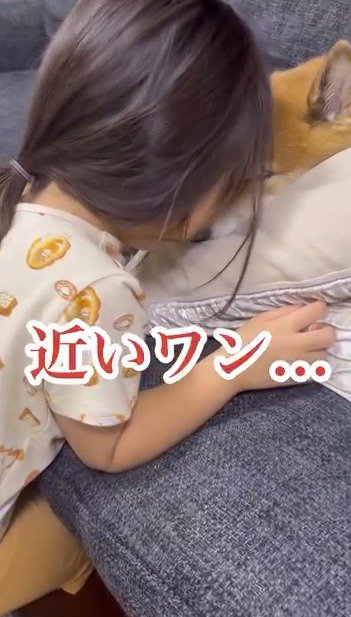 犬の顔に自分の顔をくっつける女の子