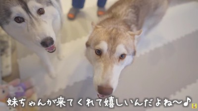 嬉しくてたまらない…♪
