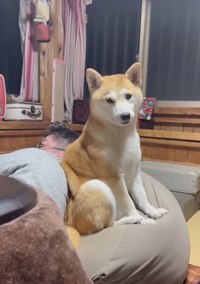 後ろにいる犬に声をかける男性