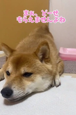 またいじけるはなちゃん