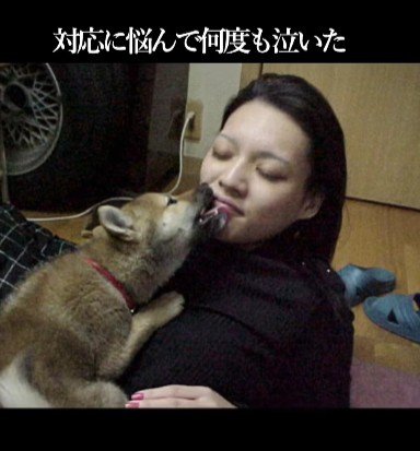 エミーちゃんに振り回されたときも…