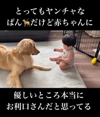 赤ちゃんに優しいぱん君