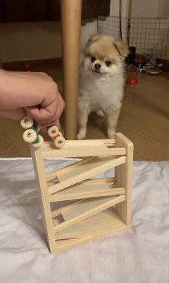 もう1回やってみよう