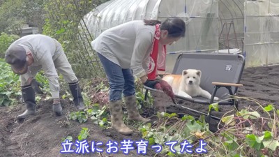 監視員として働いてます♪