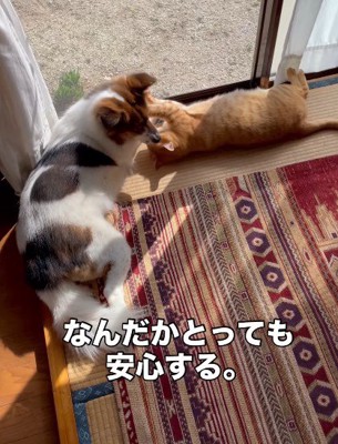 アグちゃんはとても優しかった