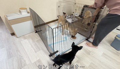 ルールを守っていただきます!