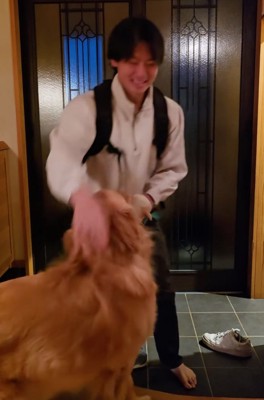 玄関で戯れる飼い主さんと大型犬