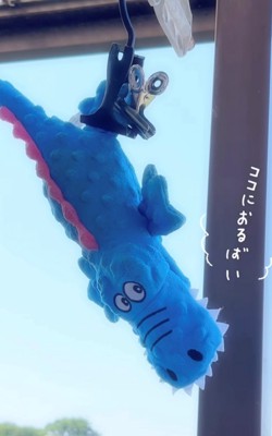 窓際に干されているぬいぐるみ