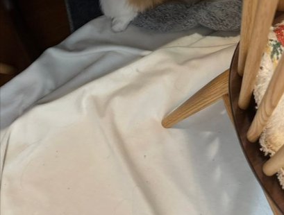 シャンプー